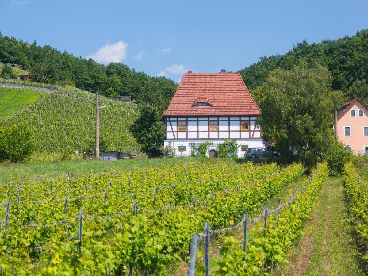 Отель Boerse Coswig Косвиг Экстерьер фото